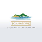 tommasone logo tommasone logo