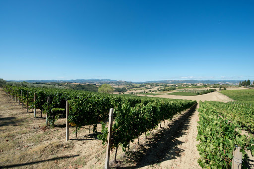 tudernum 1 tudernum 1