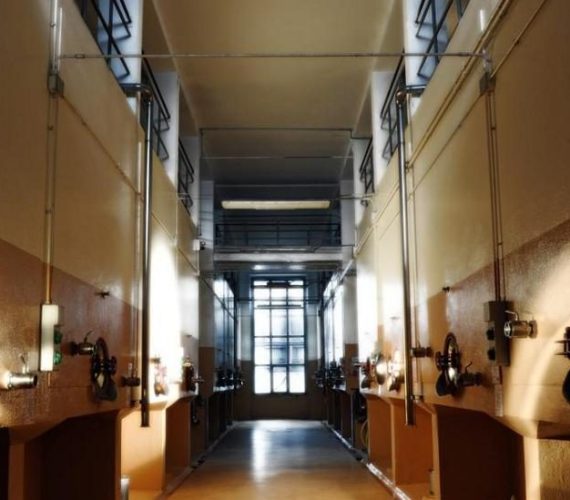 tudernum 2 tudernum 2