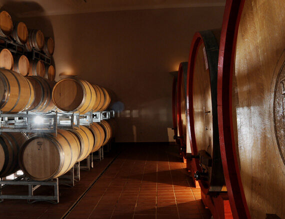 tudernum 8 tudernum 8