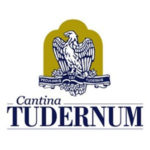 tudernum logo
