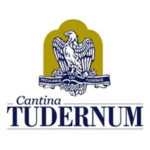 tudernum logo tudernum logo
