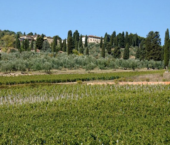 vigna castelvecchio vigna castelvecchio