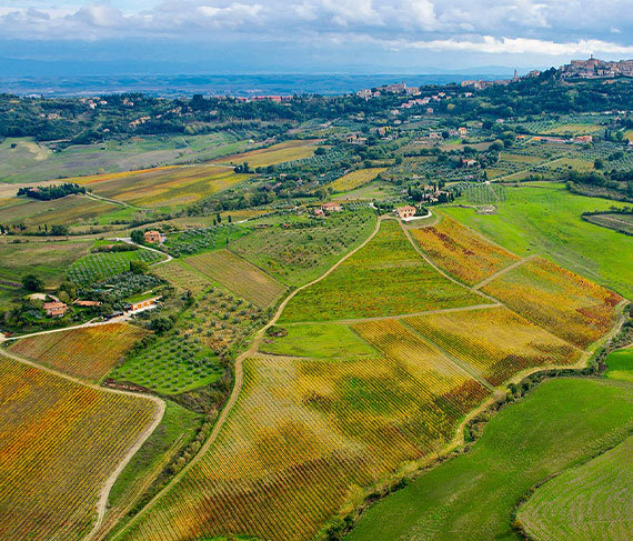 vigneto montemercurio vigneto montemercurio