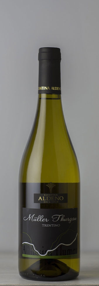 foto dim.corrette 338x976 1