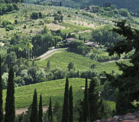 campagna chianti