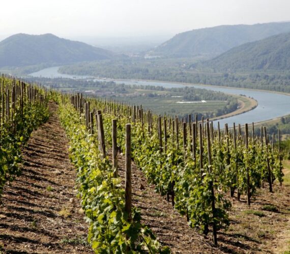 l hermitage