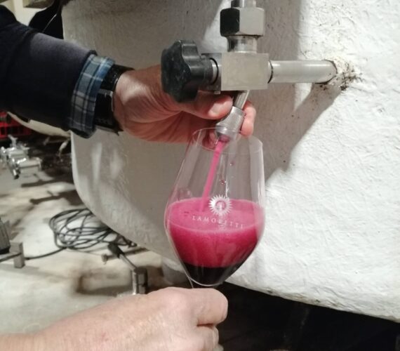 IMG 20220402 114956 IMG 20220402 114956