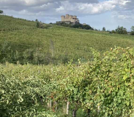 Lamoretti panorama 2 Lamoretti panorama 2