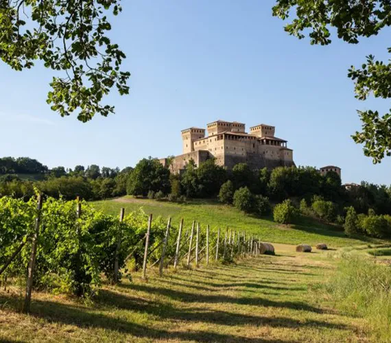 cantina lomertti cantina lomertti