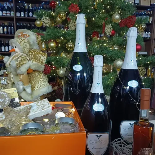 catalogo regalistica alser 2024