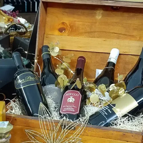 foto catalogo vini alser 2024