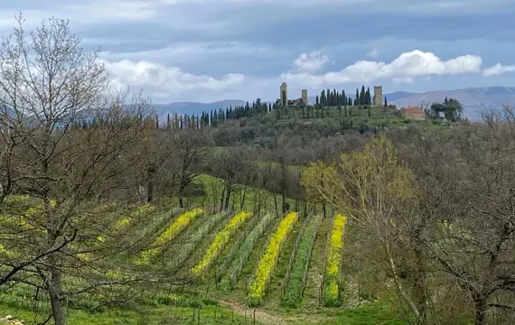 terre di romena