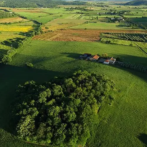 La Vigna delle Scuderie panorama La Vigna delle Scuderie panorama